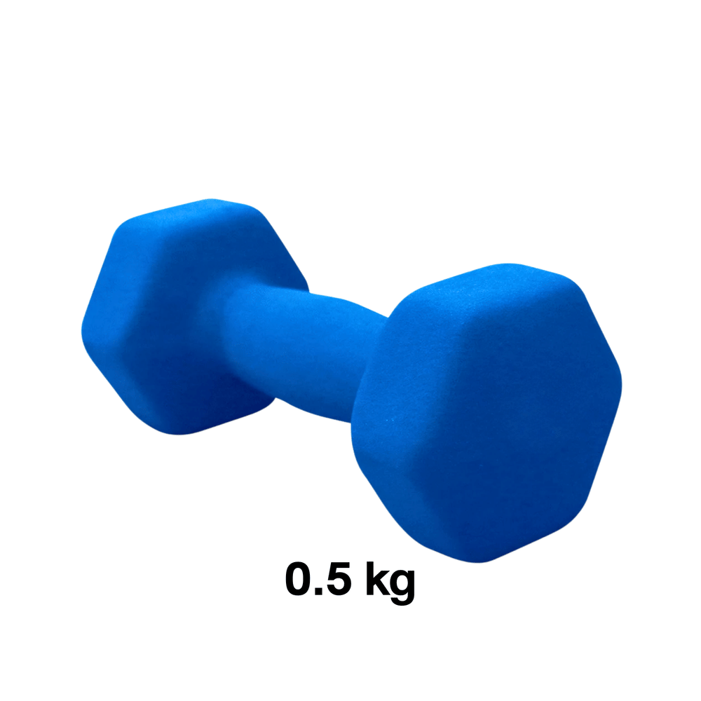 ดัมเบลผู้หญิง HOMEFITTOOLS ขนาด 0.5 KG 2 ชิ้น คละสี